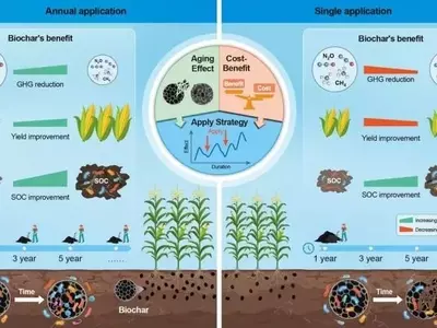 Biochar de Residuos Humanos: Fertilizante del Futuro y Clave Contra el Cambio Climático