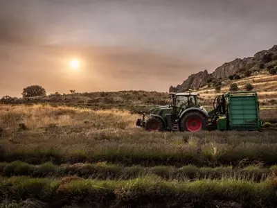 La Lavanda: Un Pilar en el Desarrollo Económico y Turístico Regional