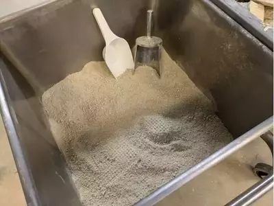Innovación Proteica: Colza como Alternativa Sostenible en Alimentos y Piensos
