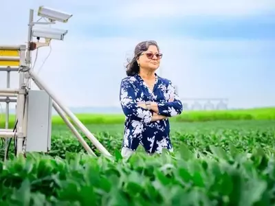 Innovación Agrícola: Impulsando Biocombustibles con Bajas Emisiones de Carbono