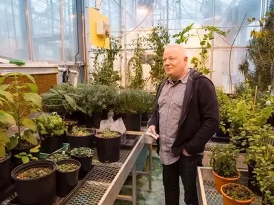 La Genética de las Plantas Aromáticas: Una Defensa Natural Contra Plagas y Microbios