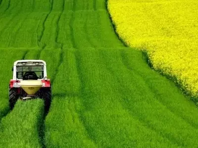 Cultivos Canadienses: Líderes Mundiales en Baja Huella de Carbono