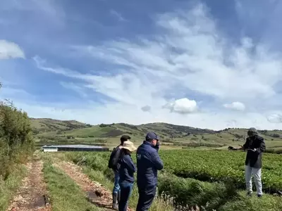 Suspensión de Cultivo de Rosas en Páramo de Zipaquirá por Impacto Ambiental
