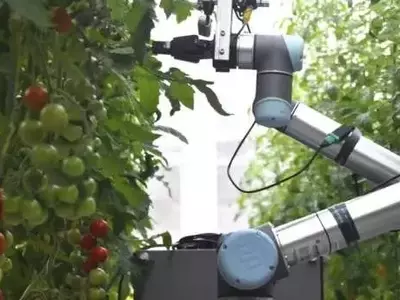 Revolucionando la Agricultura: Robots e Ingeniería Genética para Cultivos del Futuro