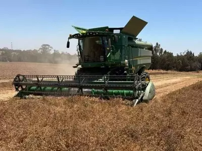 Revolución Agrícola: Optimización del Cultivo de Garbanzo mediante Modelos Satelitales y Aprendizaje Automático