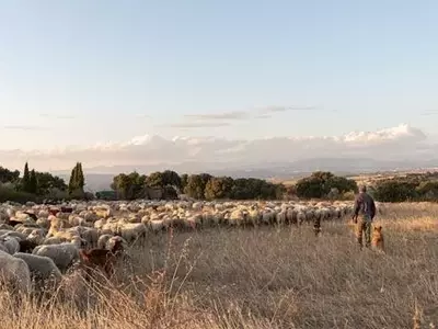 La Resiliencia del Mundo Rural: Más Allá de las Subvenciones, Hacia Pagos Justos por Servicios Esenciales