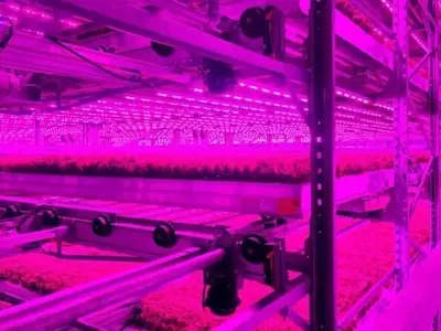Revolución Agrícola: Fusión Crea la Red de Cultivo Vertical Orgánico Más Grande de EE. UU.