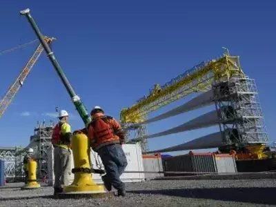 Trump Administration Halts Offshore Wind Farm Construction, Citing National Security Concerns