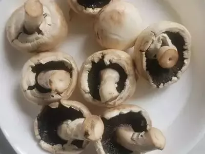 Quitosano de Champiñones: Una Alternativa Sostenible y Rentable