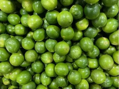 Limones y Limas Hawaianas: Abrir el Camino a la Exportación Global