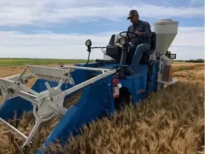 Hacia una Agricultura de Carbono Positivo: La Tesis del Dr. David Rourke