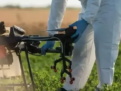 Optimización de la Eficacia Agrícola: El Papel Crucial de los Adyuvantes y las Buenas Prácticas en Brasil