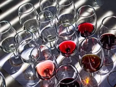 Desenmascarando los Secretos del Vino: Un Viaje Genético al Origen de Cabernet Sauvignon y Chardonnay