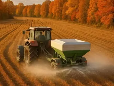 Optimización del Rendimiento Agrícola: La Importancia del Fósforo y Potasio en el Otoño