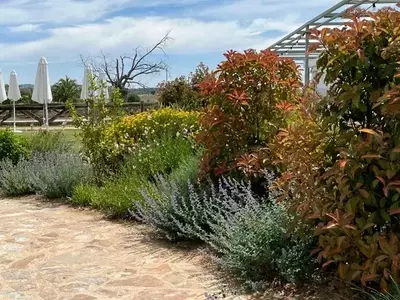 Xerojardinería: Diseño de Paisajes Sostenibles y Eficientes en el Uso del Agua