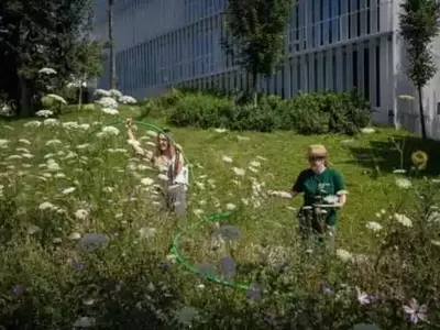 Flores y Polinizadores: Un Barómetro de la Habitabilidad Urbana