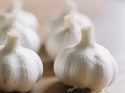 Biofortificación de Ajo con Selenio: Un Avance Nutricional en China
