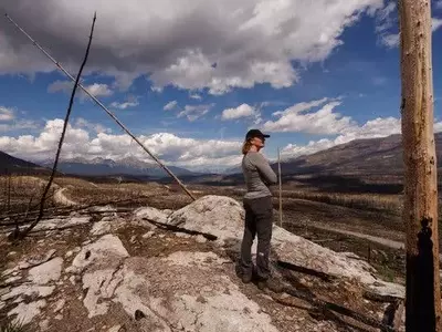 Jasper National Park: A Year After the Blaze, Lessons for Future Wildfire Management