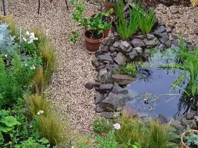 Optimización del Riego en Jardines: La Balsa de Riego como Solución Sostenible