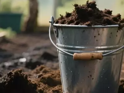Optimización de Invernaderos en Otoño: Abonos y Biopreparados para un Suelo Fértil