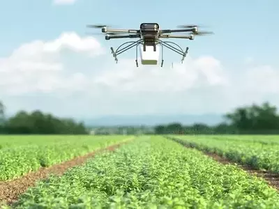 Avances en la Agricultura de Precisión: Drones y Análisis Espectral para una Fertilización Optimizada