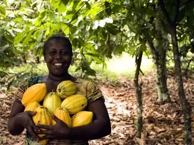La IA Revoluciona la Predicción Meteorológica para una Agricultura Sostenible