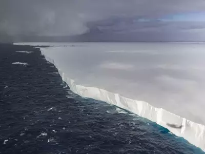 The Grand Finale of Iceberg A23a: A Natural Spectacle Unfolds