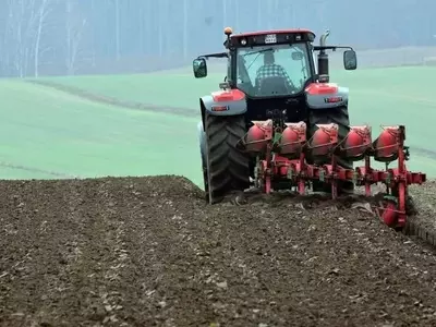 Revolucionando la Agricultura: Sensores de Bajo Costo para una Gestión de Fertilizantes Sostenible