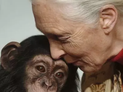 Jane Goodall's Legacy: Unveiling Humanity's Connection to the Animal Kingdom