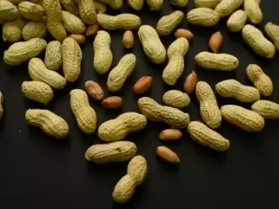 Peanut Allergy Prevention: A Decade of Progress