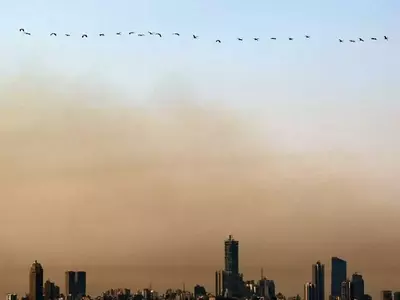 Lebanon's Escalating Cancer Crisis: Causes and Potential Solutions