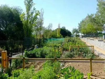 Alcobendas Expande Su Iniciativa de Huertos Urbanos con 276 Nuevas Parcelas
