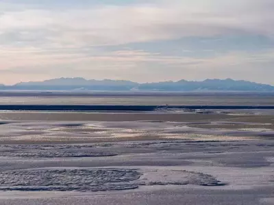 Trump Administration Greenlights Oil and Gas Drilling in Alaska's Arctic Refuge