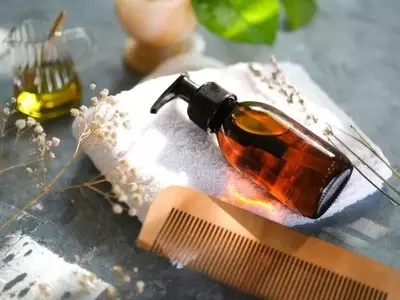 Revolucionario Proceso de Extracción de Aceites Esenciales: Reducción de Costos y Aumento de Rendimientos