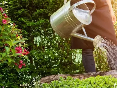 Obtención de la Certificación Agroecológica en la Comunidad Valenciana