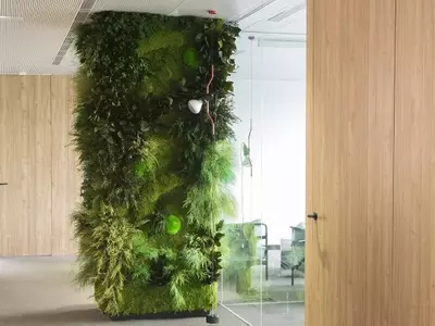 Iniciativa 'Columnas Verdes' Transforma Infraestructura Urbana de Bogotá