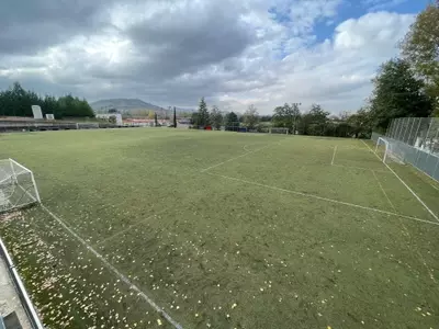 Auge de Proyectos Municipales para la Implementación de Césped Sintético en Instalaciones Deportivas