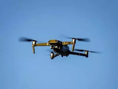 Revolución Aérea en la Agricultura: El Impacto Transformador de los Drones en el Campo Global