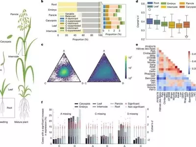 Descubriendo los Secretos Genéticos de la Avena: Un Pangenoma Revolucionario para la Agricultura Sostenible