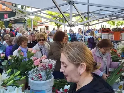 Flores para el Día de Todos los Santos: Tradición, Significado y Consejos para Honrar a los Difuntos