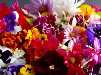 Cultiva Flores Comestibles en tu Balcón Pequeño: Belleza y Sabor al Alcance de tu Mano