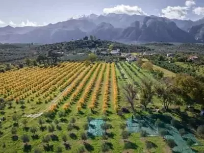 Revolución Agrícola: La simbiosis entre microbiología, tecnología avanzada y sustentabilidad para suelos productivos