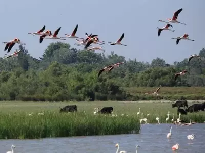 La Agricultura Moderna Amenaza la Biodiversidad en Zonas Protegidas Europeas, Revalorizando las Prácticas Tradicionales