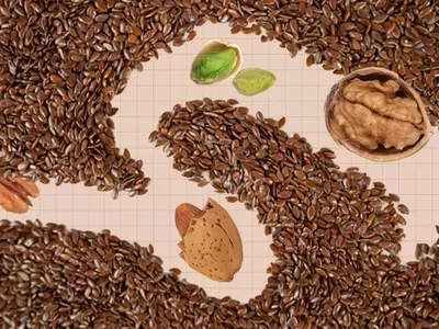 Boosting Fiber Intake: Top Nuts and Seeds for Enhanced Health