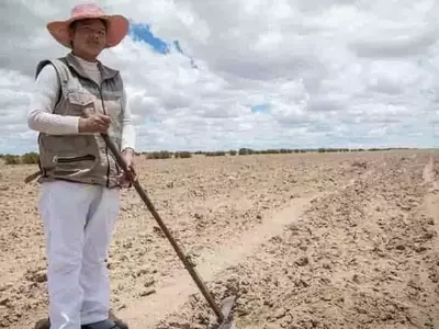 La Deterioración del Suelo Amenaza la Seguridad Alimentaria Global, Advierte la FAO