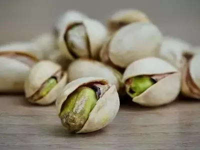 Guía Completa para Cultivar tu Propio Pistacho: Desde la Siembra hasta la Cosecha