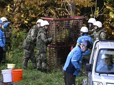 Japan Deploys Military to Combat Escalating Bear Encounters