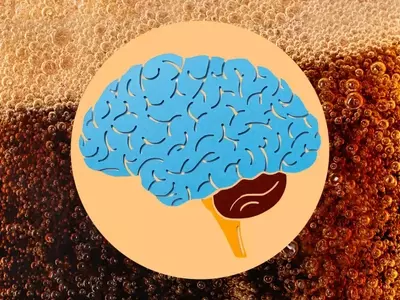 The Impact of Daily Diet Soda Consumption on Brain Health