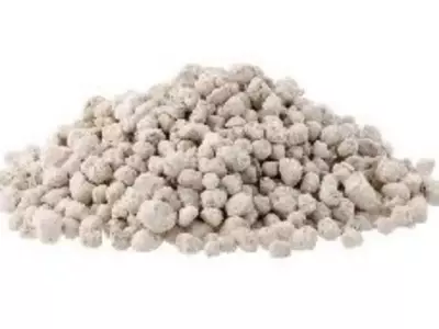 Fertilizantes: Un Análisis Detallado de Opciones Orgánicas, Minerales y Combinadas para la Salud del Suelo