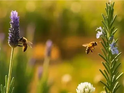 Flores Naranjas: Un Imán para Polinizadores y Jardines Vibrantes
